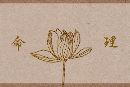 万年历日历表,日历老黄历,2026年日历全年表